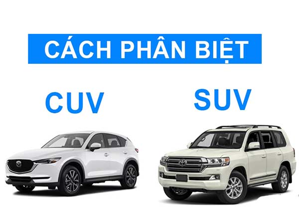 Xe SUV và xe CUV là gì?